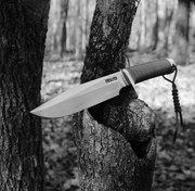 A94AB9CC-21B7-483F-828D-996EB1EAEE19