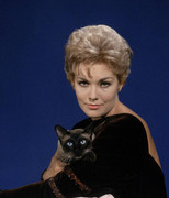 kim-novak-489