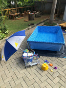 photo_5184190887264103312_y