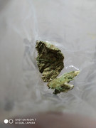 IMG_20210324_122409_1