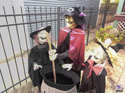 241103 Halloween front yard display (witches)  IMG_20241103_102559_263.xcf