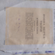 IMG-20220729-201428
