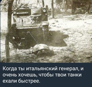 https://i.postimg.cc/nsXvM9jG/photo-2026-08-07-00-18-29.jpg