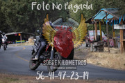 IMG-0633
