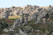 IMG-0078