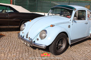 IMG-3937