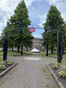 IMG-3752