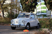 IMG-7304