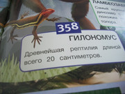 https://i.postimg.cc/nsfBFk62/100-8125.jpg