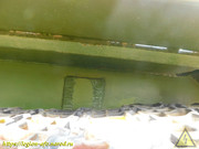 DSCN5347