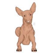 1ECF5CD7-2648-455F-93B2-2A2484EFA18D