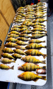 [Image: PERCH-FROM-CASCADE.jpg]