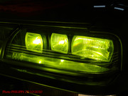 DSC06824.jpg