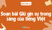 soan-bai-gin-giu-su-trong-sang-cua-tieng-viet