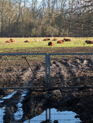 PXL 20260207 134410533