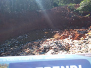 WhatsApp Image 2020-01-31 at 15.50.55