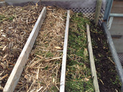 Erdproduktion und Zubereitung 2015  (109)