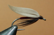 Alfalfa-1080