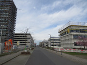 IMG-0117