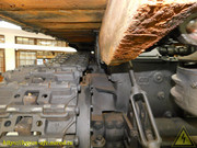 DSCN1879