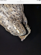 25042EB0-93A8-4A65-AB88-2C9F9036D793