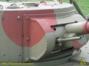 IMG-3653