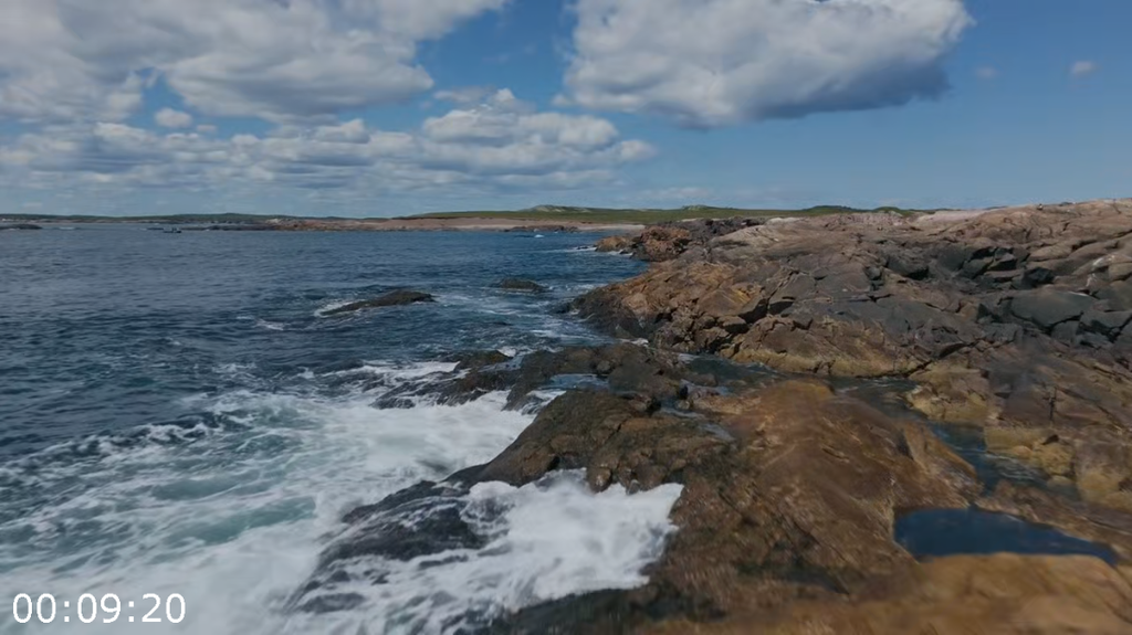 [Image: hga0of36l9pm.png]