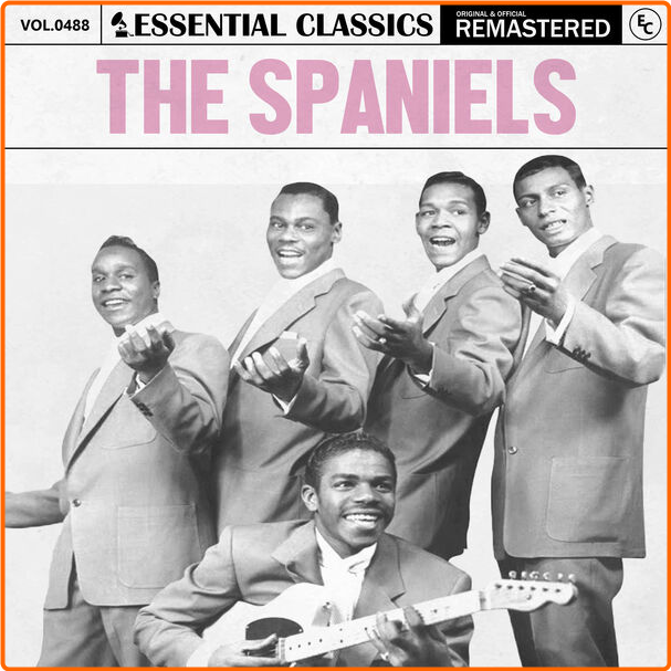 [Image: 6k15fgebyjx7.png]