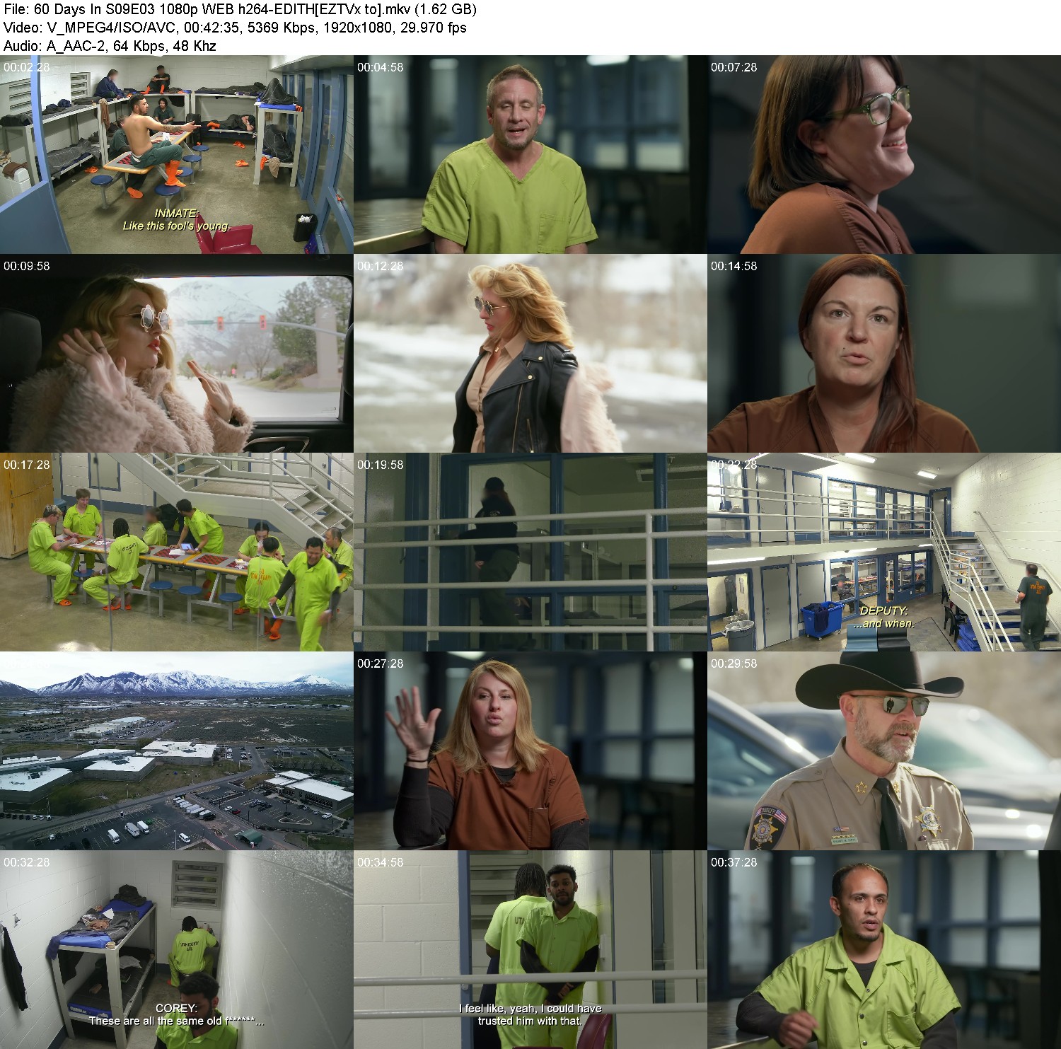 [Image: 3m9wqdoc00ku.jpg]