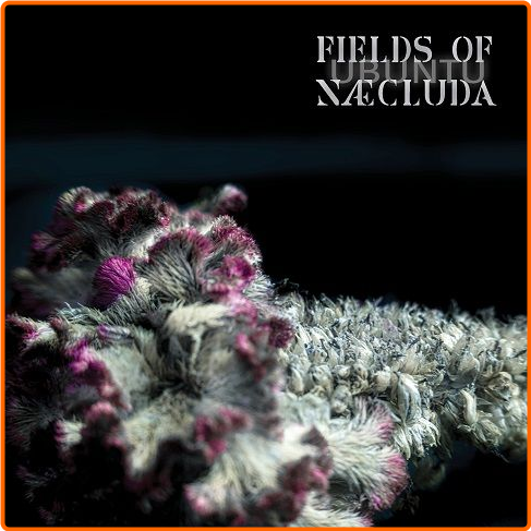 [Image: r0cbjf0i88bc.png]