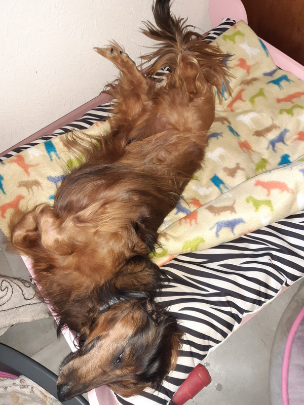 [Image: 20210618-164308.jpg]