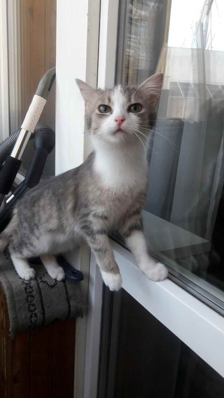 IMG-46895ddd46ac625eb5dbef76d32aaefa-V (1)