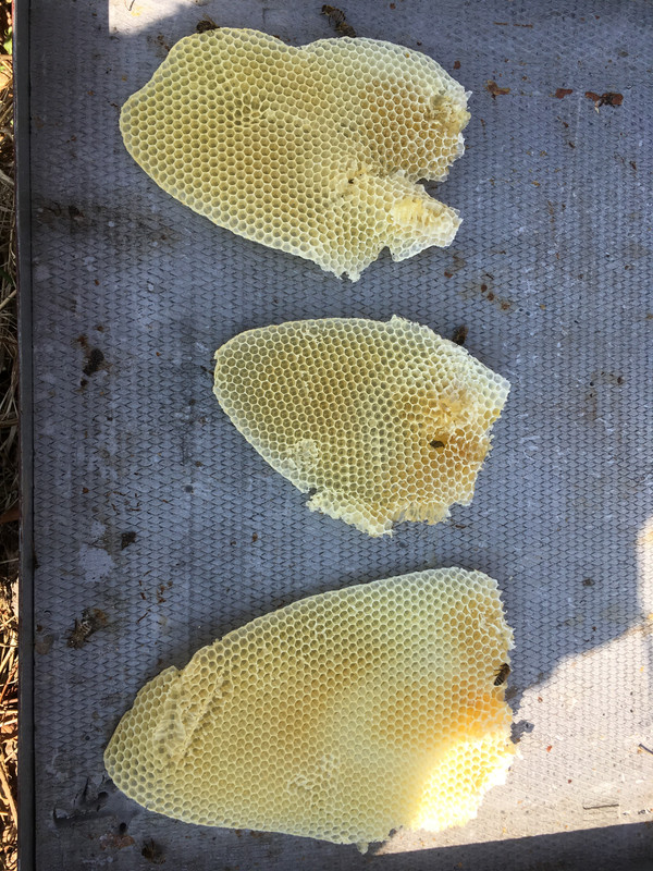 345D7434-1E74-4CBF-A308-3EA413C06B65