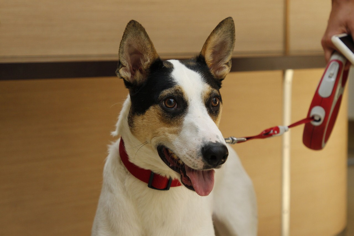 CAA40DAD-B6CF-4384-974D-93627FE03251