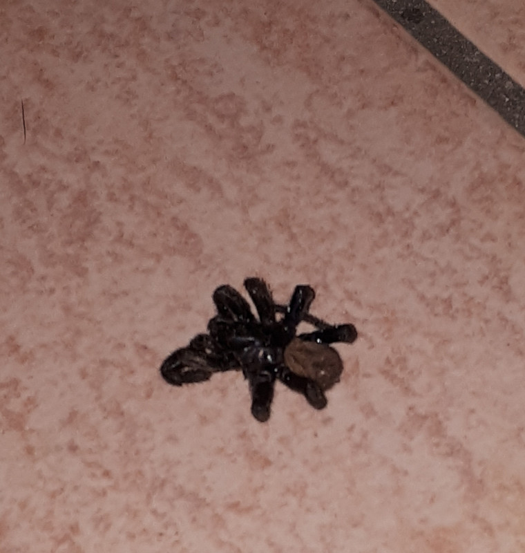 20201003-191108.jpg