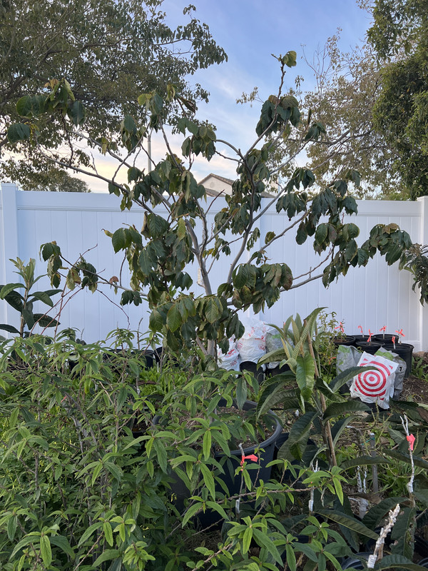 DF364D17-AD4E-438D-9D0C-8E5E0C8BF358