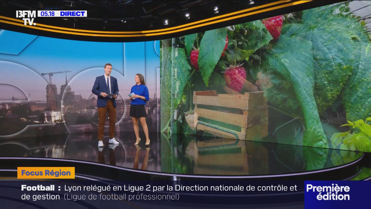Première édition (BFMTV)_2025_06_25_03_25_88.ts_snapshot_00.53.56.163