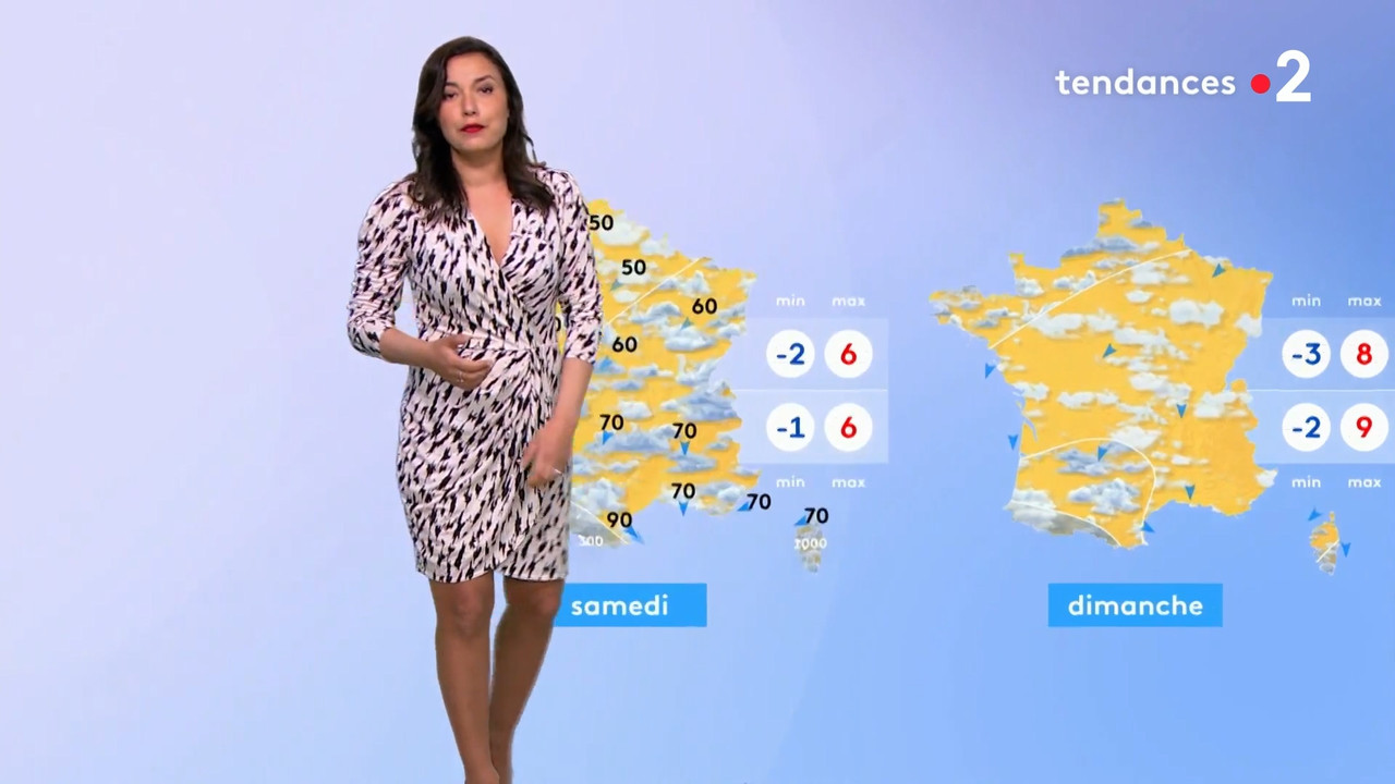 2021-03-17_20_35_Fr2_Meteo.mp4_snapshot_09.07.383