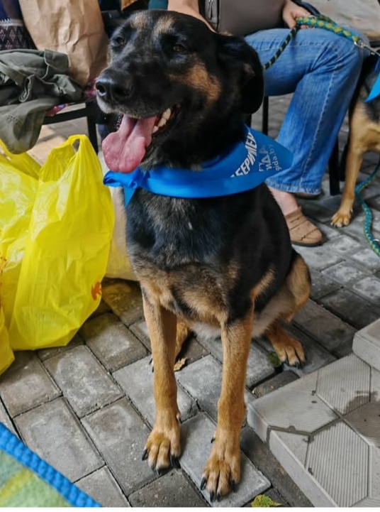 CzGAKIvO0iLOssmUySLGfWp5tf5HmQS3Dkn4l0Q85AroPn1YRhgxmT0VzF32otwNBYJoHA3KSVmhE9g_ubZ0xKxJ