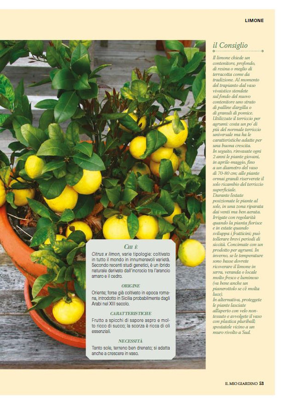 il mio Giar Feb-Mar 2025 (8)