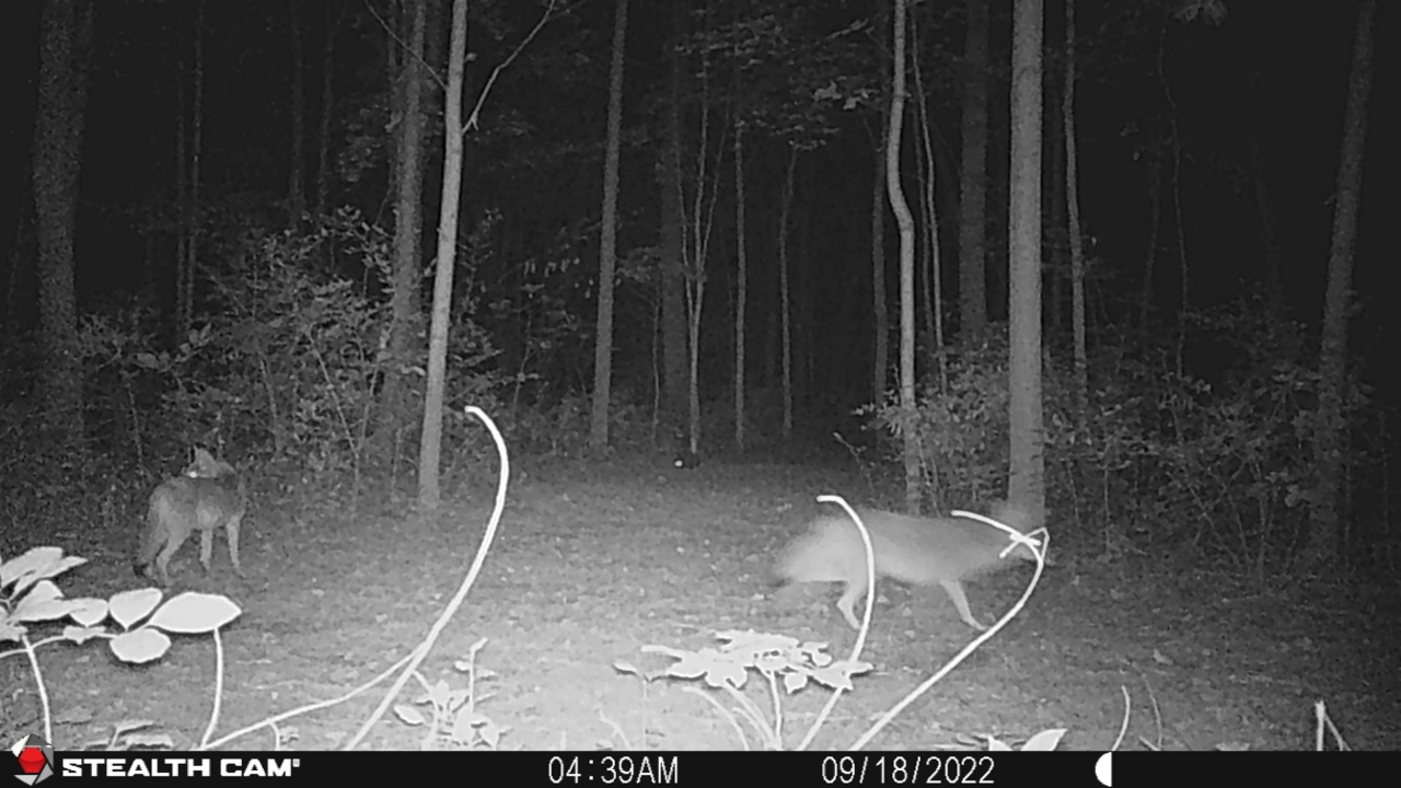 Resized_STC_0016_33822201082825