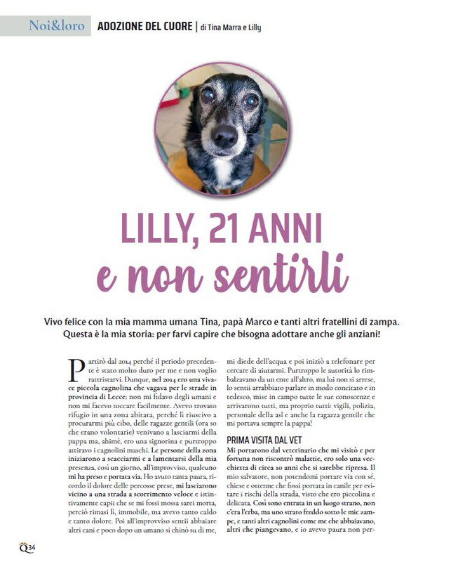 QuattroZampe Lug 2023 (1)