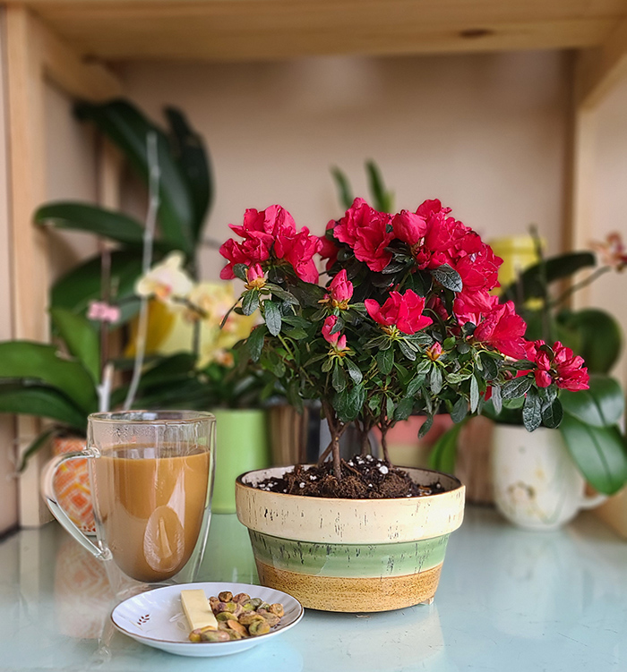 [Image: 20240421-090336.jpg]