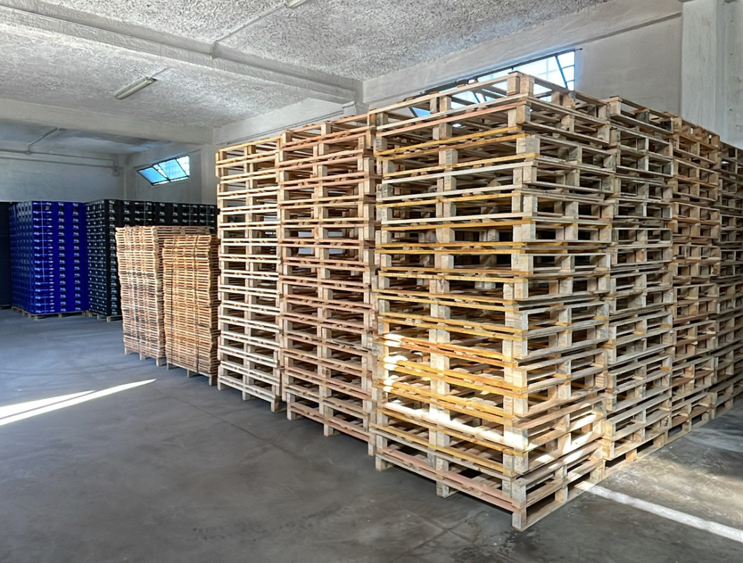 Soluzioni di imballaggio Marceca