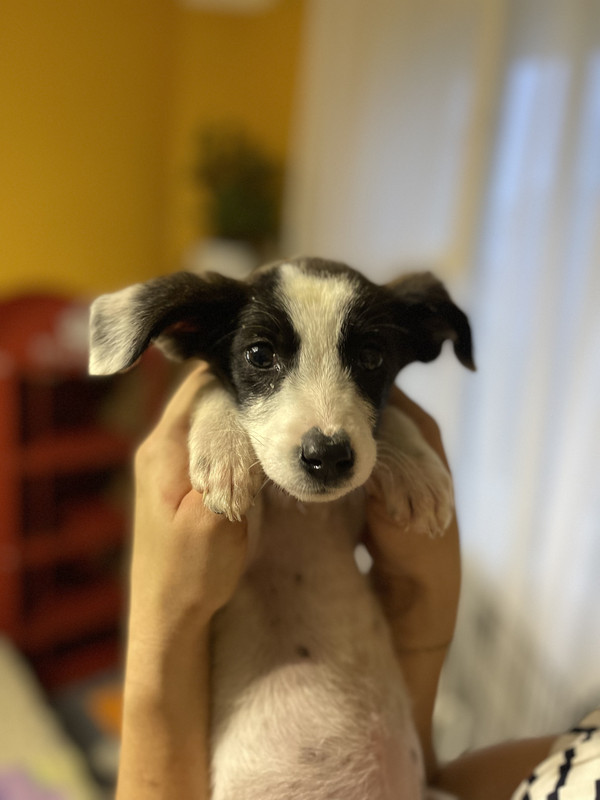 860E866C-9761-484D-8939-8FFFB9B7D125