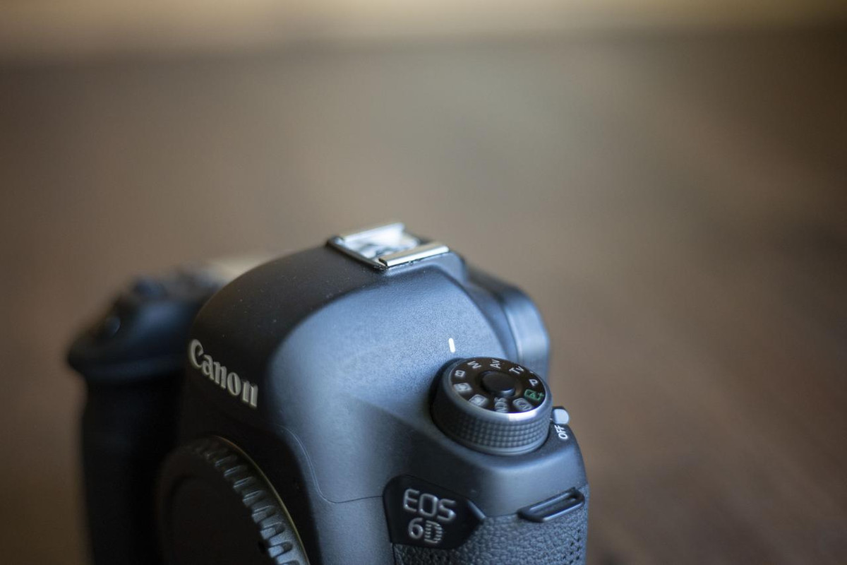 IMAGE: https://i.postimg.cc/nz1p75vn/DSC01100.jpg