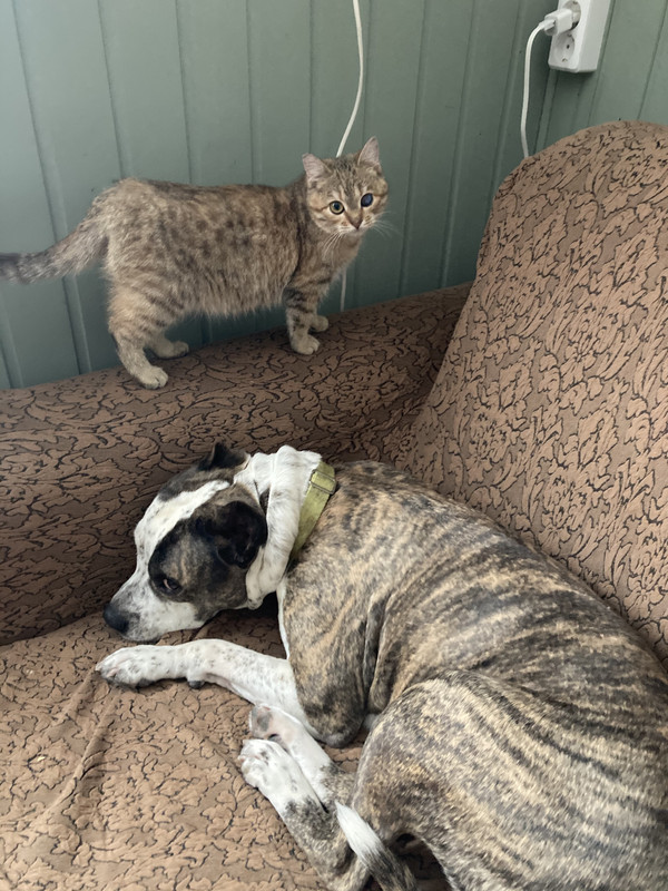 F12421CE-9188-4A63-9BAF-0F6F3D5EEB95