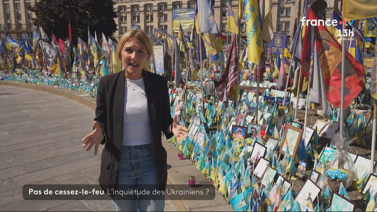 Journal 13h00 (France 2)_2025_08_16_11_55_81.ts_snapshot_08.55.120