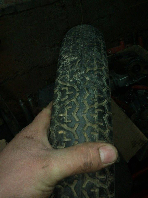 11003937_10204631312196857_905130159_n