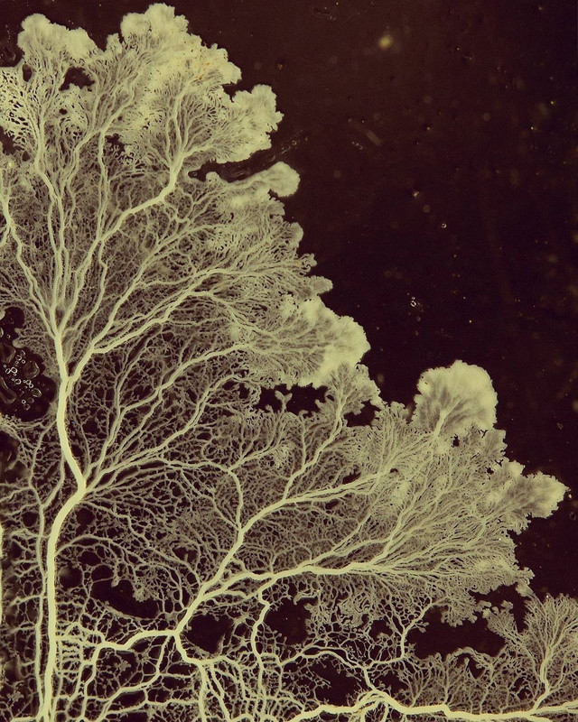 Systems